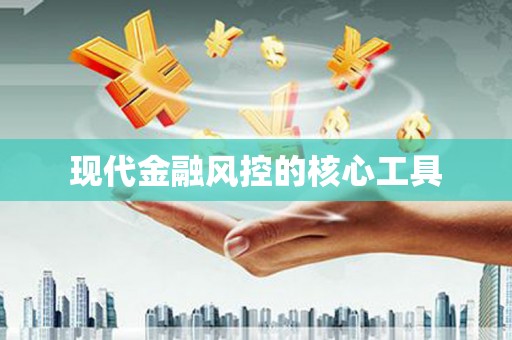 林园现代金融风控的核心工具