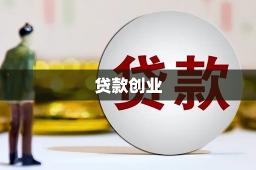 林园贷款创业