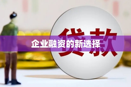 林园企业融资的新选择