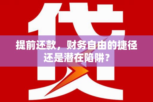 林园提前还款，财务自由的捷径还是潜在陷阱？