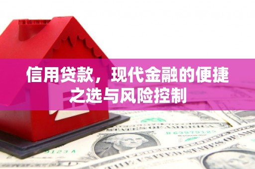 林园信用贷款，现代金融的便捷之选与风险控制