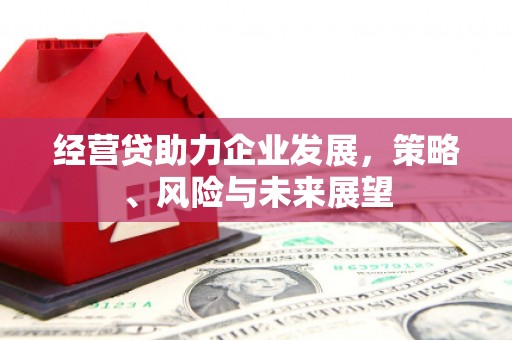 林园经营贷助力企业发展，策略、风险与未来展望