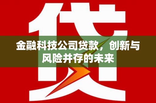 林园金融科技公司贷款，创新与风险并存的未来
