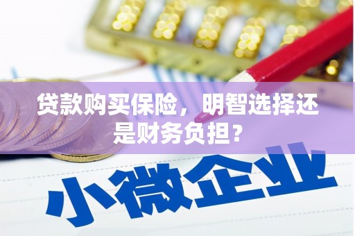林园贷款购买保险，明智选择还是财务负担？