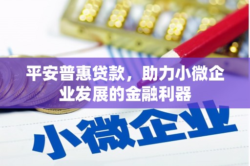 林园平安普惠贷款，助力小微企业发展的金融利器