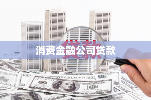 林园消费金融公司贷款