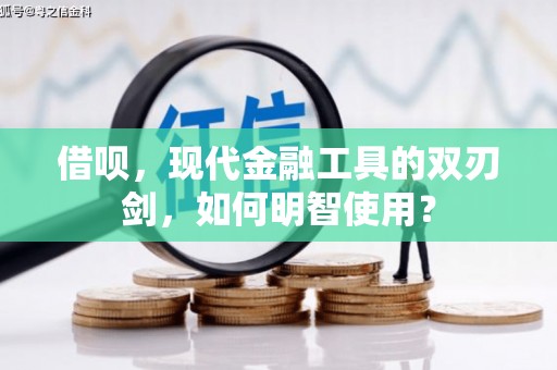 林园借呗，现代金融工具的双刃剑，如何明智使用？