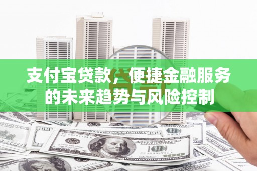 林园支付宝贷款，便捷金融服务的未来趋势与风险控制