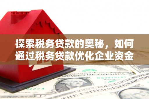 林园探索税务贷款的奥秘，如何通过税务贷款优化企业资金流