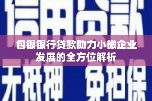 林园包银银行贷款助力小微企业发展的全方位解析