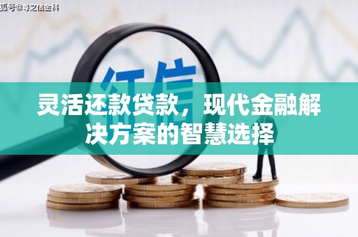 林园灵活还款贷款，现代金融解决方案的智慧选择