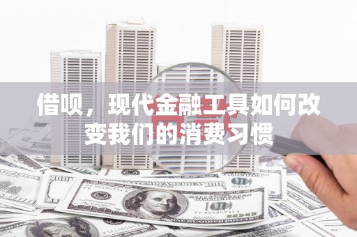 林园借呗，现代金融工具如何改变我们的消费习惯