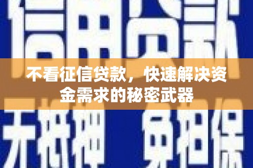 林园不看征信贷款，快速解决资金需求的秘密武器