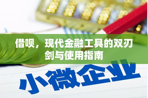 林园借呗，现代金融工具的双刃剑与使用指南