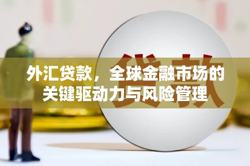 林园外汇贷款，全球金融市场的关键驱动力与风险管理