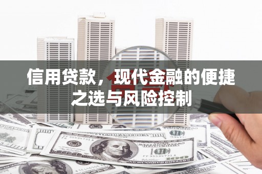 林园信用贷款，现代金融的便捷之选与风险控制