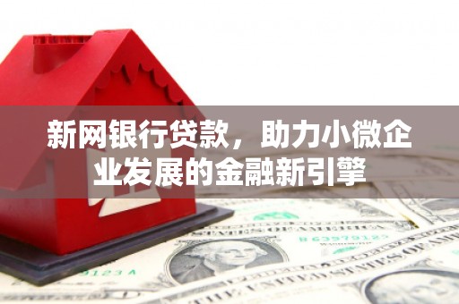 林园新网银行贷款，助力小微企业发展的金融新引擎