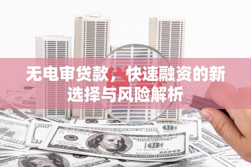 林园无电审贷款，快速融资的新选择与风险解析