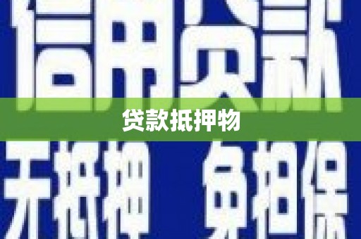 林园贷款抵押物
