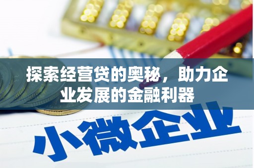 林园探索经营贷的奥秘，助力企业发展的金融利器