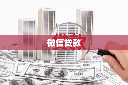 林园微信贷款