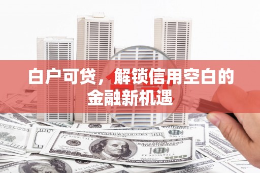 林园白户可贷，解锁信用空白的金融新机遇