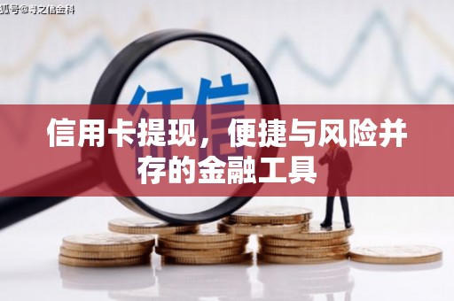 林园信用卡提现，便捷与风险并存的金融工具