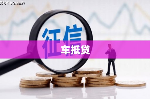 林园车抵贷