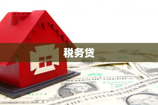 林园税务贷