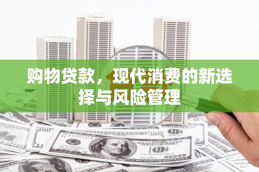 林园购物贷款，现代消费的新选择与风险管理