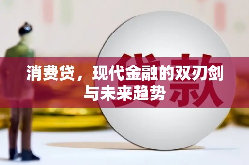 林园消费贷，现代金融的双刃剑与未来趋势