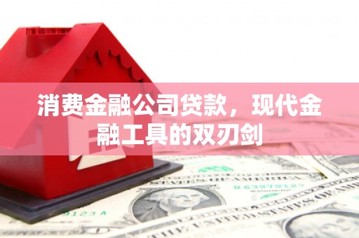 林园消费金融公司贷款，现代金融工具的双刃剑