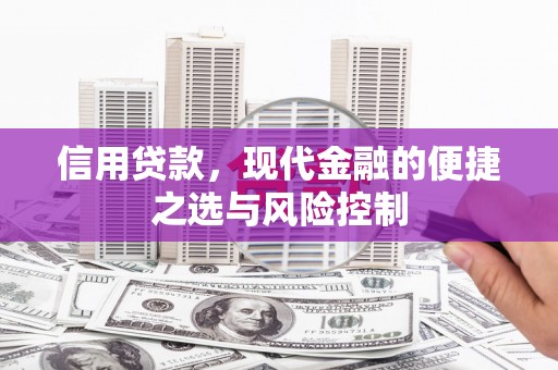 林园信用贷款，现代金融的便捷之选与风险控制