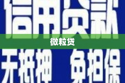林园微粒贷