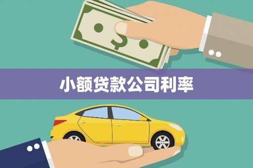林园小额贷款公司利率
