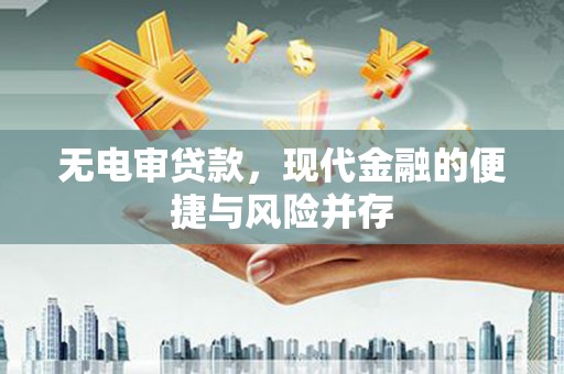 林园无电审贷款，现代金融的便捷与风险并存