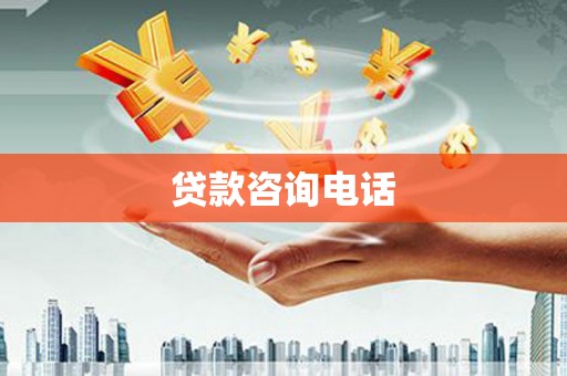 林园贷款咨询电话
