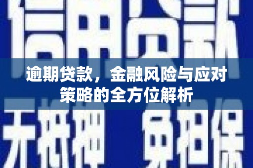 林园逾期贷款，金融风险与应对策略的全方位解析