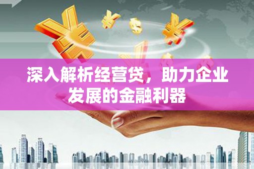 林园深入解析经营贷，助力企业发展的金融利器