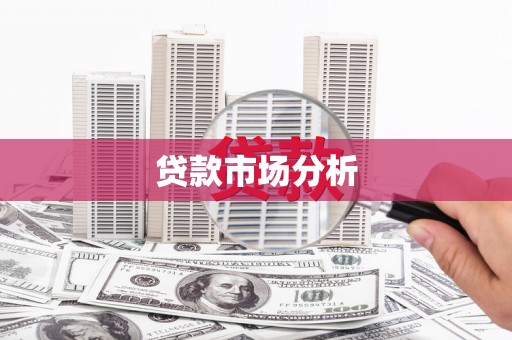 林园贷款市场分析