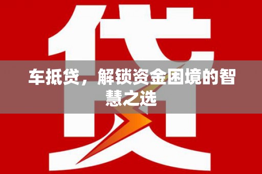林园车抵贷，解锁资金困境的智慧之选