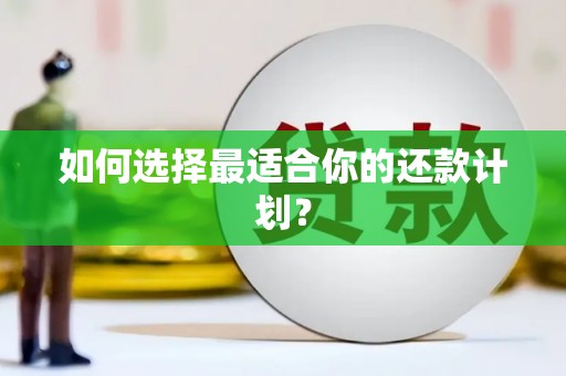 林园如何选择最适合你的还款计划？