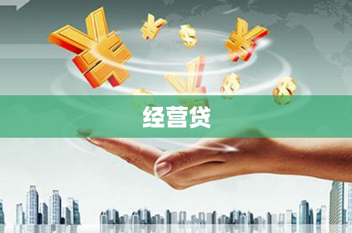 林园经营贷