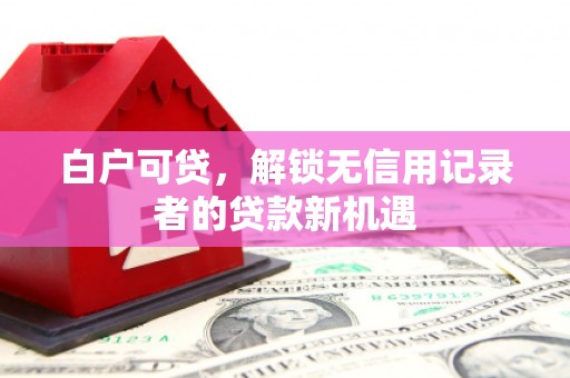 林园白户可贷，解锁无信用记录者的贷款新机遇