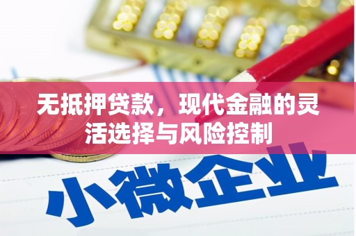 林园无抵押贷款，现代金融的灵活选择与风险控制