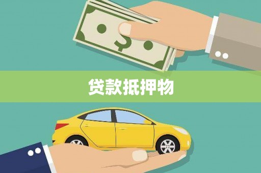 林园贷款抵押物