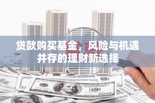 林园贷款购买基金，风险与机遇并存的理财新选择