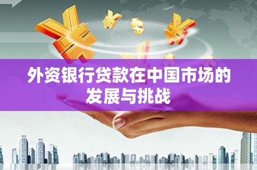林园外资银行贷款在中国市场的发展与挑战