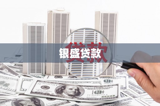 林园银盛贷款