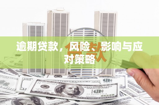 林园逾期贷款，风险、影响与应对策略